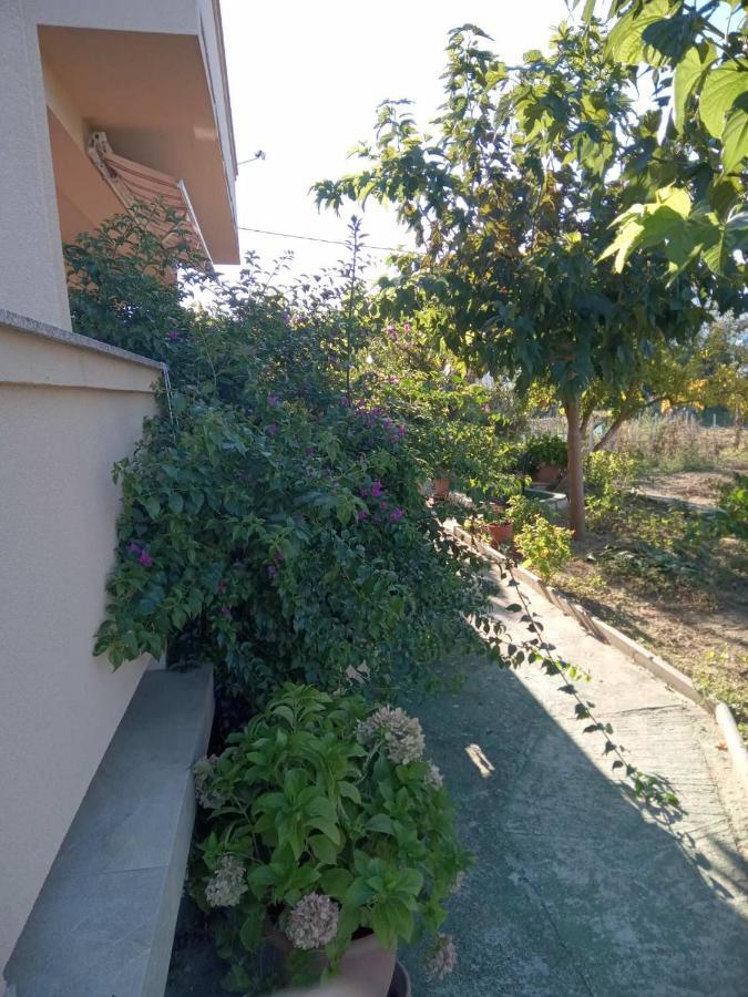Apartmani Danijela Lopar Exterior photo
